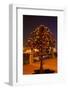 Moscow, Tree Made of Padlocks, Wedding Ritual, at Night-Catharina Lux-Framed Photographic Print