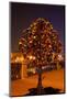 Moscow, Tree Made of Padlocks, Wedding Ritual, at Night-Catharina Lux-Mounted Photographic Print