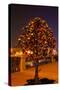 Moscow, Tree Made of Padlocks, Wedding Ritual, at Night-Catharina Lux-Stretched Canvas