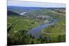 Moselle Valley near Mehring, Rhineland-Palatinate, Germany, Europe-Hans-Peter Merten-Mounted Photographic Print