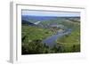 Moselle Valley near Mehring, Rhineland-Palatinate, Germany, Europe-Hans-Peter Merten-Framed Photographic Print