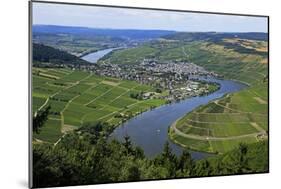 Moselle Valley near Mehring, Rhineland-Palatinate, Germany, Europe-Hans-Peter Merten-Mounted Photographic Print