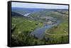 Moselle Valley near Mehring, Rhineland-Palatinate, Germany, Europe-Hans-Peter Merten-Framed Stretched Canvas