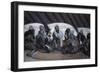 Moses and Jethro-James Tissot-Framed Giclee Print