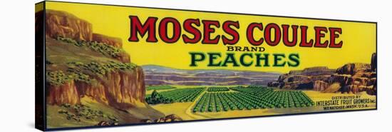 Moses Coulee Peach Label - Wenatchee, WA-Lantern Press-Stretched Canvas