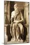 Moses, Detail from Tomb of Julius II-Michelangelo Buonarroti-Mounted Giclee Print