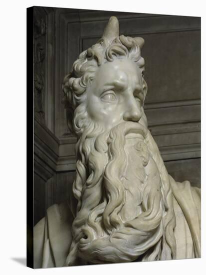 Moses (Detail of Face)-Michelangelo Buonarroti-Stretched Canvas