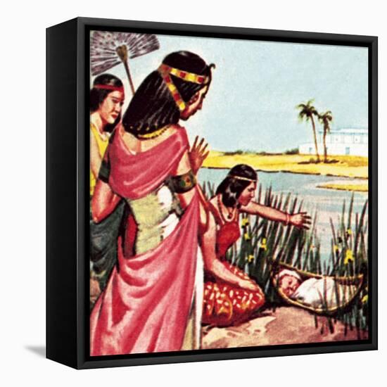 Moses in the Bullrushes-McConnell-Framed Stretched Canvas