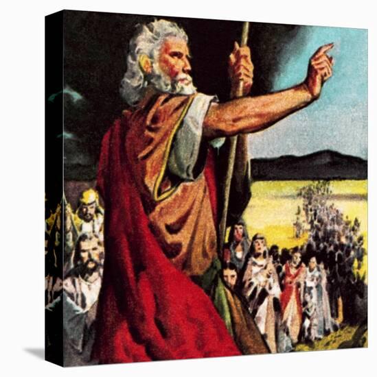 Moses in the Wilderness-McConnell-Stretched Canvas