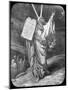 Moses Receives the Law, Late 19th or Early 20th Century-null-Mounted Giclee Print