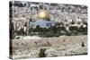 Moslem Golden Dome of the Rock, Outside Walls, and Historic Jewish Cemetery, City of JerUSAlem-Dave Bartruff-Stretched Canvas