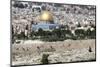 Moslem Golden Dome of the Rock, Outside Walls, and Historic Jewish Cemetery, City of JerUSAlem-Dave Bartruff-Mounted Photographic Print