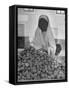 Moslem Woman Shopping for Potatoes-John Phillips-Framed Stretched Canvas