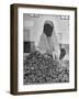 Moslem Woman Shopping for Potatoes-John Phillips-Framed Photographic Print