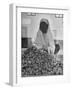 Moslem Woman Shopping for Potatoes-John Phillips-Framed Photographic Print