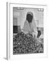 Moslem Woman Shopping for Potatoes-John Phillips-Framed Photographic Print