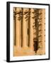 Mosque at Djenne, Mali, West Africa-Janis Miglavs-Framed Photographic Print