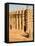 Mosque at Djenne, the largest mud-brick building in the world, Mali, West Africa-Janis Miglavs-Framed Stretched Canvas