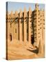 Mosque at Djenne, the largest mud-brick building in the world, Mali, West Africa-Janis Miglavs-Stretched Canvas