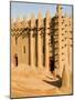 Mosque at Djenne, the largest mud-brick building in the world, Mali, West Africa-Janis Miglavs-Mounted Photographic Print