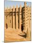 Mosque at Djenne, the largest mud-brick building in the world, Mali, West Africa-Janis Miglavs-Mounted Photographic Print