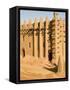 Mosque at Djenne, the largest mud-brick building in the world, Mali, West Africa-Janis Miglavs-Framed Stretched Canvas