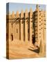 Mosque at Djenne, the largest mud-brick building in the world, Mali, West Africa-Janis Miglavs-Stretched Canvas