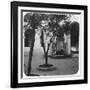 Mosque Fountain, Algiers, Algeria, Late 19th or Early 20th Century-null-Framed Giclee Print