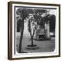 Mosque Fountain, Algiers, Algeria, Late 19th or Early 20th Century-null-Framed Giclee Print