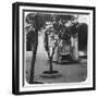 Mosque Fountain, Algiers, Algeria, Late 19th or Early 20th Century-null-Framed Giclee Print