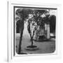 Mosque Fountain, Algiers, Algeria, Late 19th or Early 20th Century-null-Framed Giclee Print