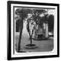 Mosque Fountain, Algiers, Algeria, Late 19th or Early 20th Century-null-Framed Giclee Print