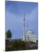Mosque in Manavgat, Turkey-Rainer Mirau-Mounted Photographic Print