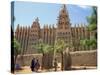 Mosque in Old Town, Mopti, Mali, Africa-Pate Jenny-Stretched Canvas