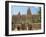 Mosque in Old Town, Mopti, Mali, Africa-Pate Jenny-Framed Photographic Print