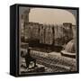 Canvas Black