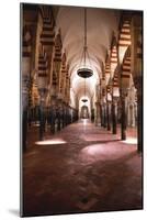 Mosque Of Córdoba, Spain-Lindsay Daniels-Mounted Photographic Print