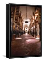 Mosque Of Córdoba, Spain-Lindsay Daniels-Framed Stretched Canvas