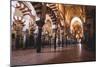 Mosque Of Córdoba, Spain-Lindsay Daniels-Mounted Photographic Print