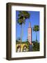 Mosque of Sidi Bou Abib, Grand Socco, Tangier, Morocco, North Africa-Neil Farrin-Framed Photographic Print