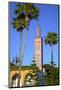 Mosque of Sidi Bou Abib, Grand Socco, Tangier, Morocco, North Africa-Neil Farrin-Mounted Photographic Print