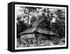 Mosque on Ternate, Indonesia, 19th Century-Mesples-Framed Stretched Canvas