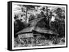 Mosque on Ternate, Indonesia, 19th Century-Mesples-Framed Stretched Canvas