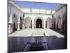Mosque, Tlemcen-Werner Forman-Mounted Giclee Print