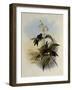 Mosquera's Puffleg, Eriocnemis Mosquera-John Gould-Framed Giclee Print