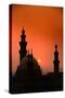 Mosques and Sunset in Cairo, Egypt-Glen Allison-Stretched Canvas