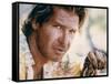MOSQUITO COAST, 1986 directed by PETER WEIR Harrison Ford (photo)-null-Framed Stretched Canvas
