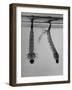 Mosquito Larvae Hanging Upside Down from Snorkel-Like Breathing Tubes-J^ R^ Eyerman-Framed Photographic Print