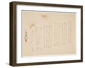 Mosquitoes-San'ai-sanjin-Framed Giclee Print