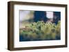 Moss, close up, detail-Jule Leibnitz-Framed Photographic Print